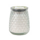 Greenleaf Hydrangea Signature large scented Candle